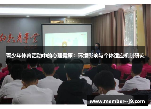 青少年体育活动中的心理健康：环境影响与个体适应机制研究