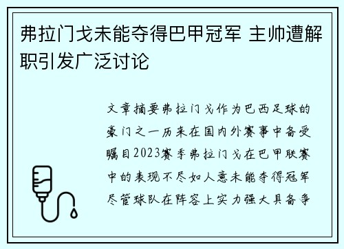 弗拉门戈未能夺得巴甲冠军 主帅遭解职引发广泛讨论