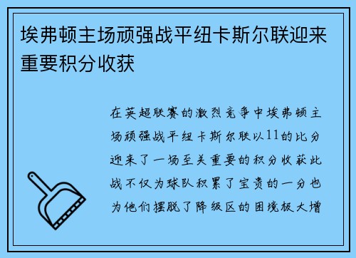埃弗顿主场顽强战平纽卡斯尔联迎来重要积分收获